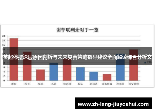 英超停摆深层原因剖析与未来复赛策略指导建议全面解读综合分析文
