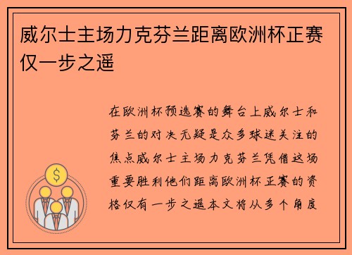 威尔士主场力克芬兰距离欧洲杯正赛仅一步之遥