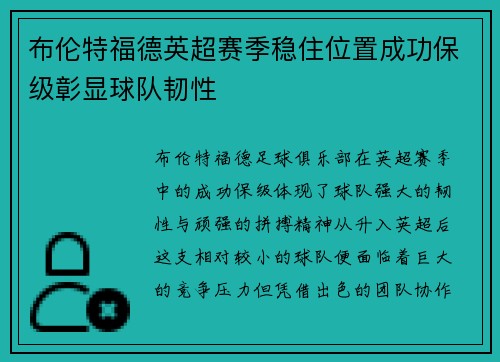 布伦特福德英超赛季稳住位置成功保级彰显球队韧性